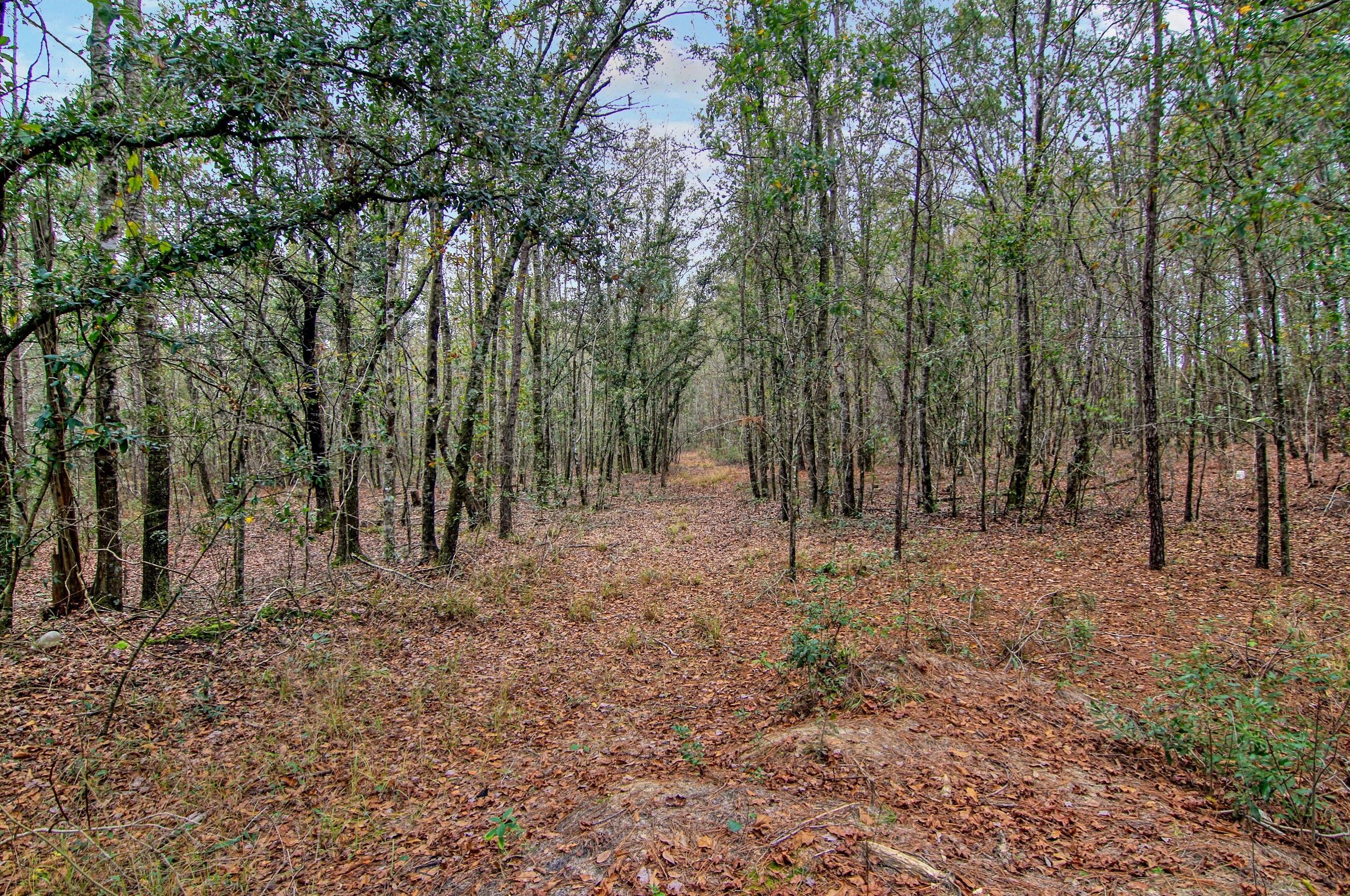 22 Sherrill Ln, Round O SC  29474-4375 exterior