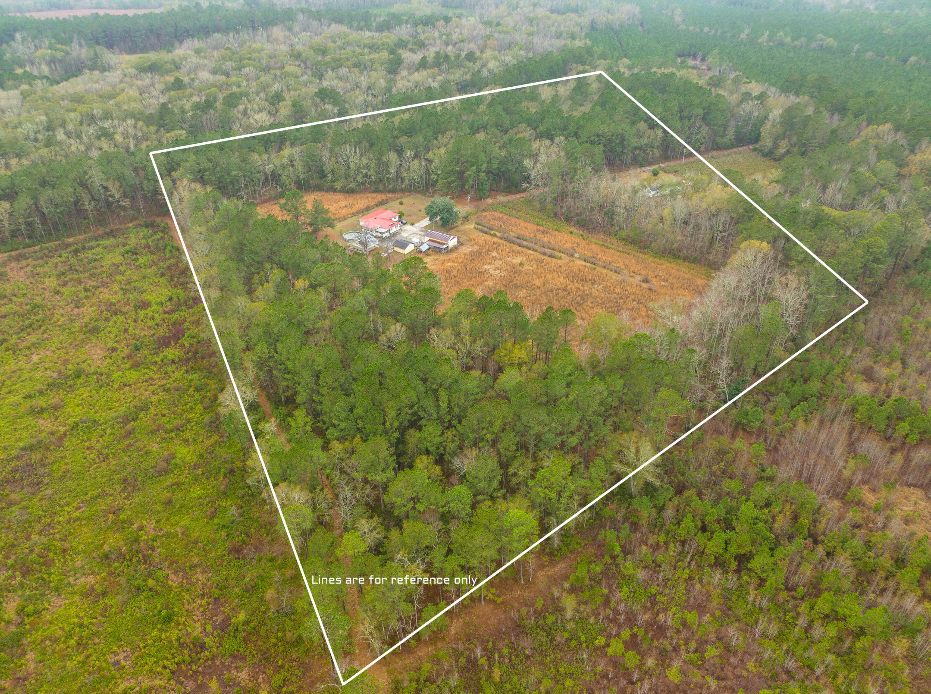 3430 Polk Rd, Moselle, SC 29929