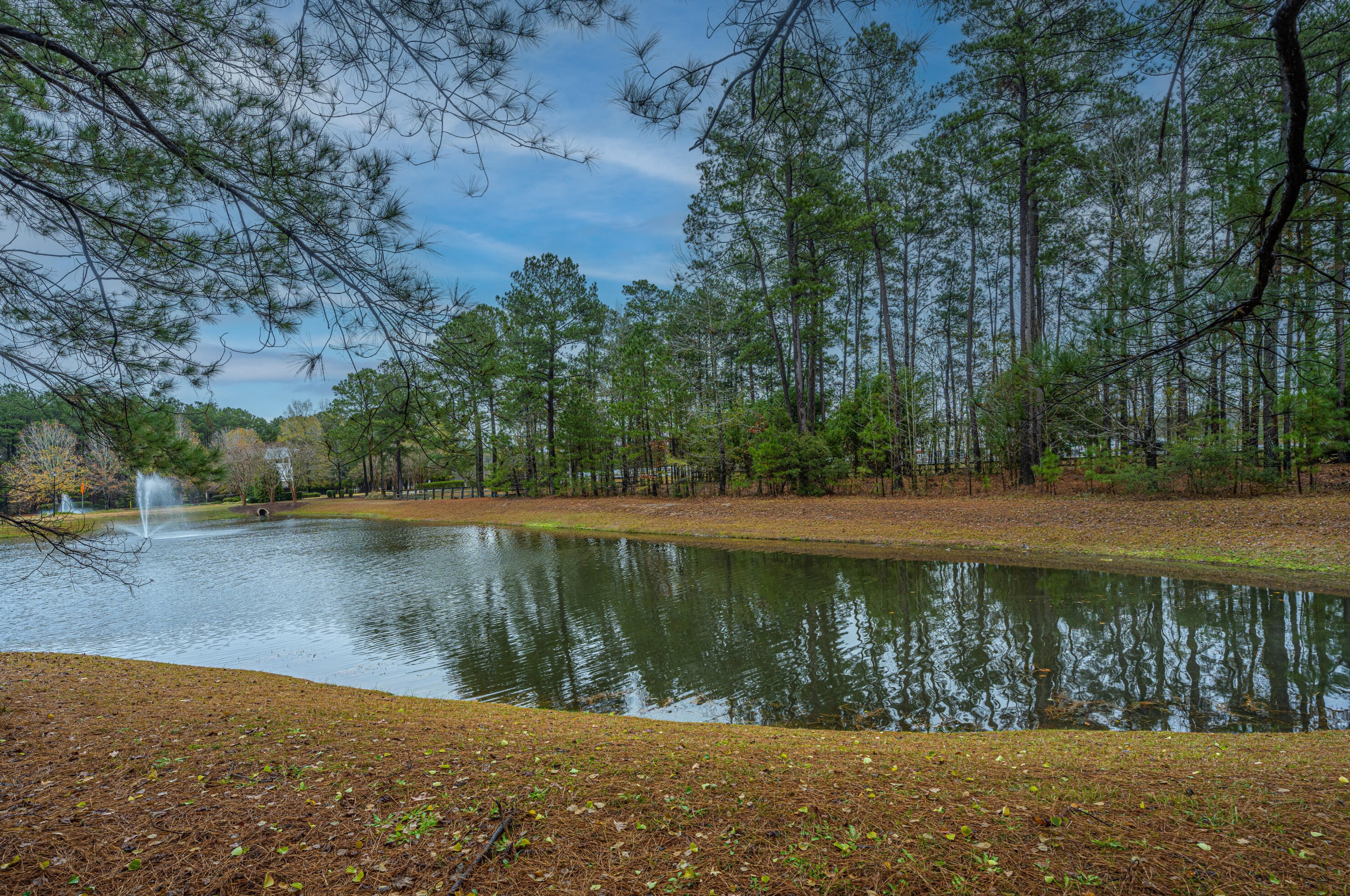 262 Killarney Trl, Moncks Corner SC  29461-8836 exterior