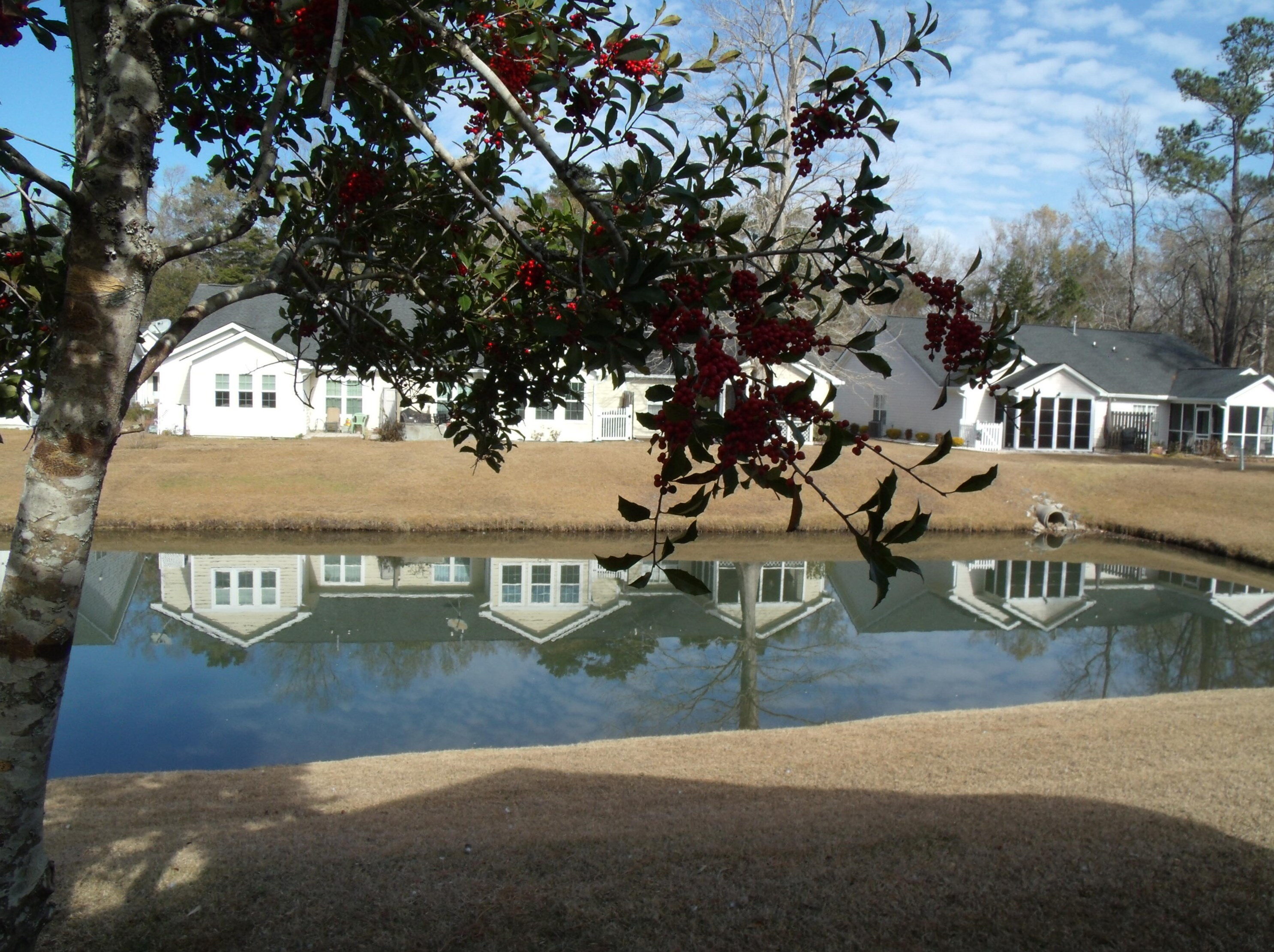104 Dupont Way, Summerville, SC 29485-8136