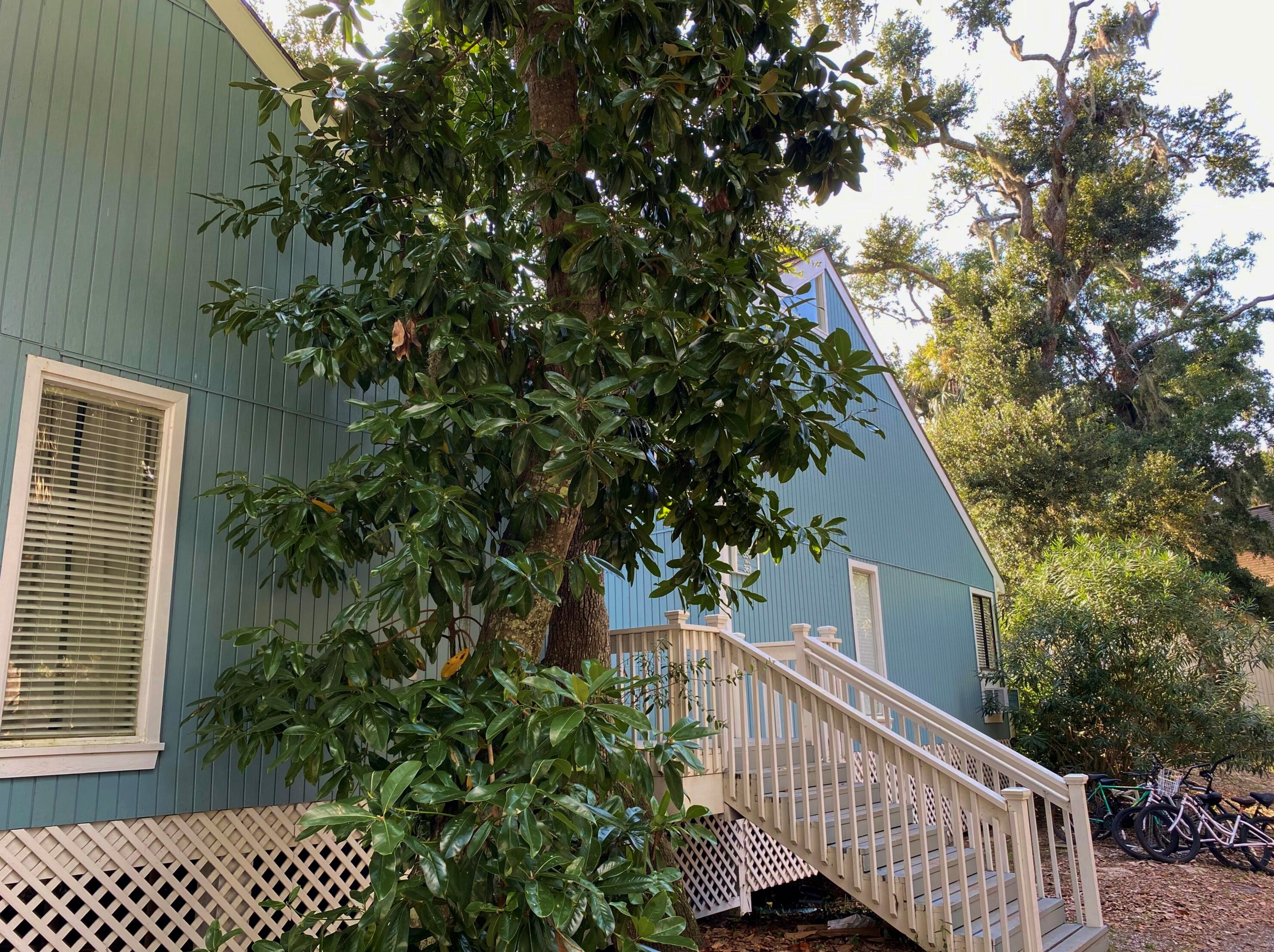 359 Sea Cloud Cir, Edisto SC  29438-3605 exterior
