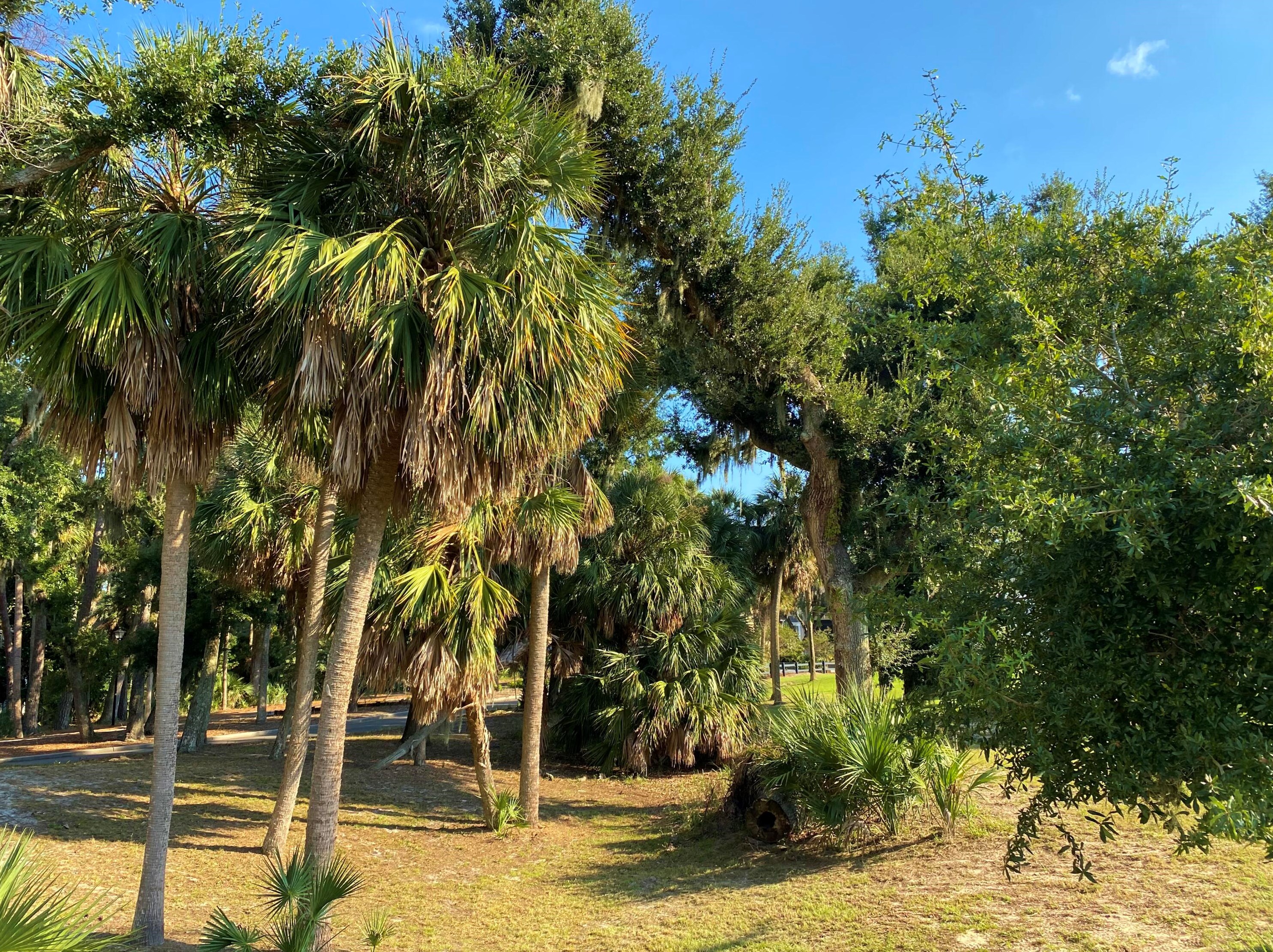 359 Sea Cloud Cir, Edisto SC  29438-3605 exterior