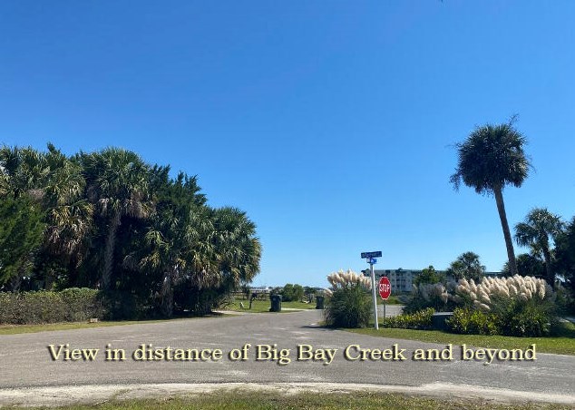3606 Big Bay Dr, Edisto SC  29438-3702 exterior