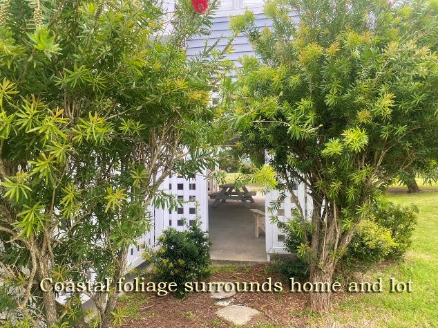 3606 Big Bay Dr, Edisto SC  29438-3702 exterior
