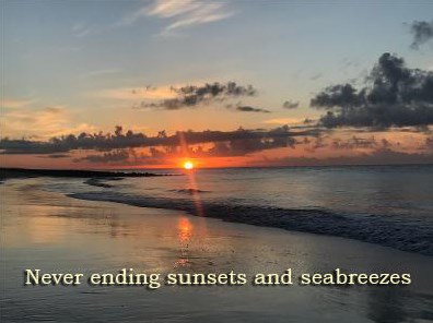 3606 Big Bay Dr, Edisto SC  29438-3702 exterior