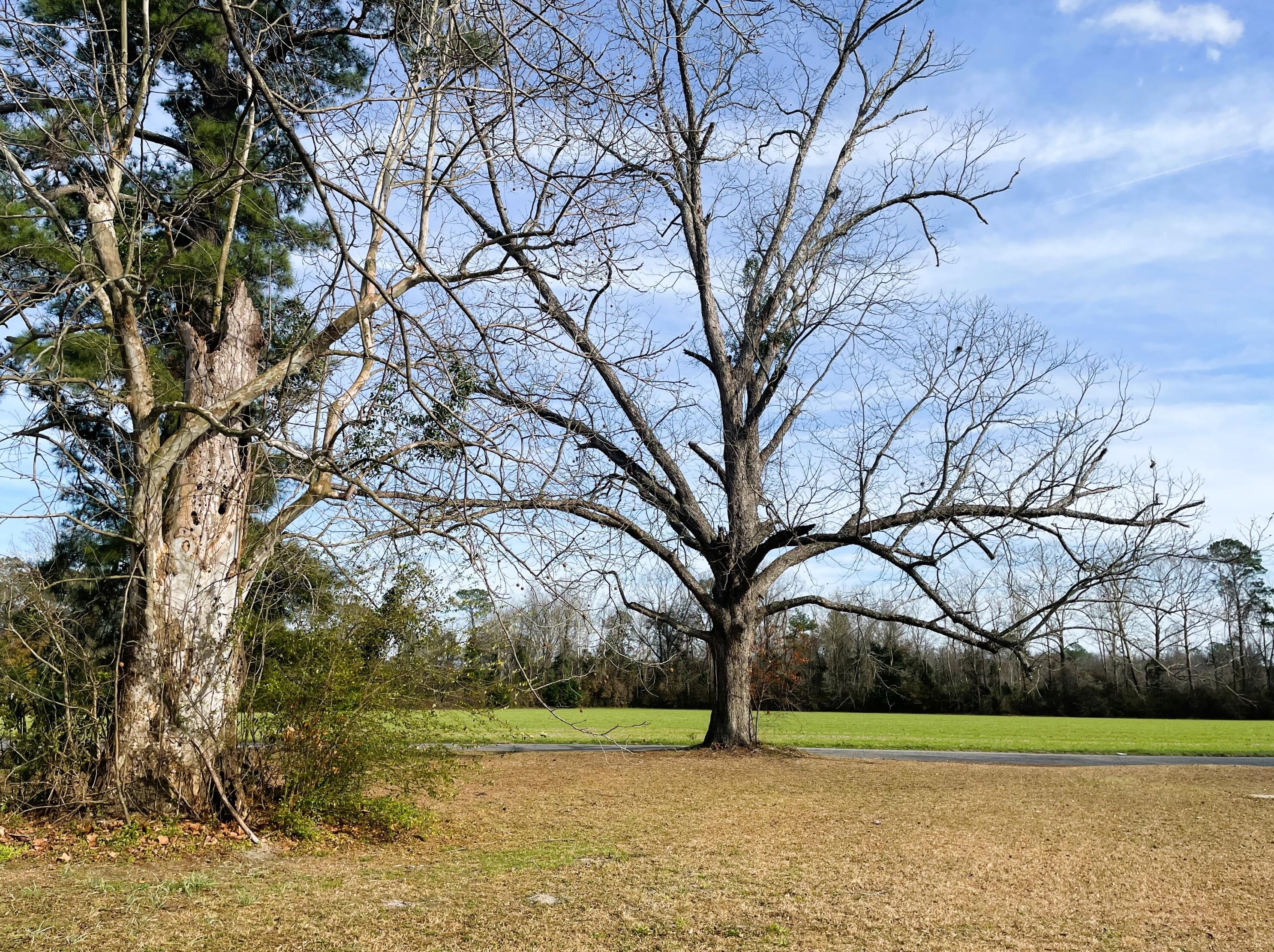 1481 Stokes Rd, Walterboro SC  29488-6890 exterior