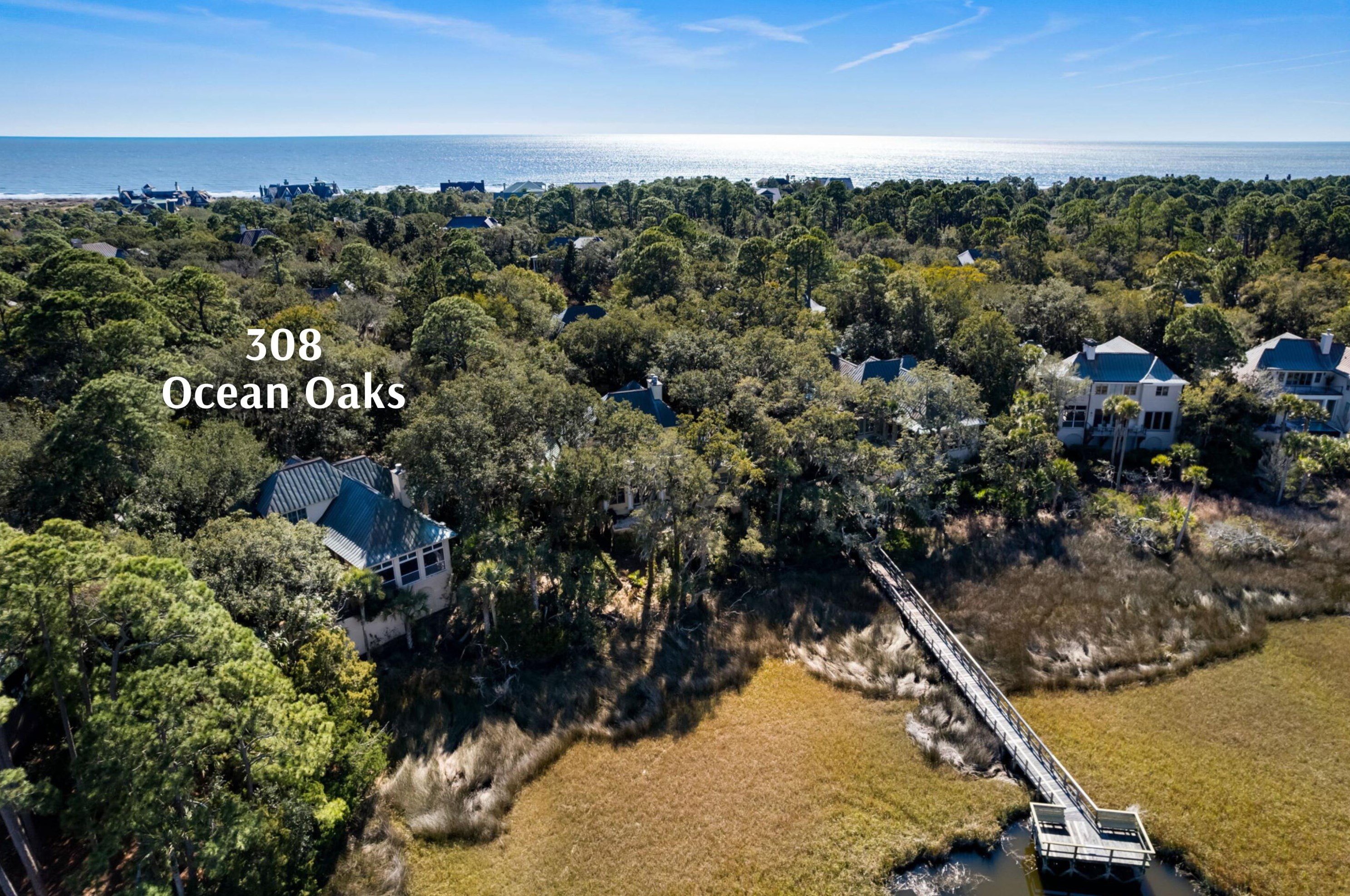 308 Ocean Oaks Ct, Johns Island, SC 29455