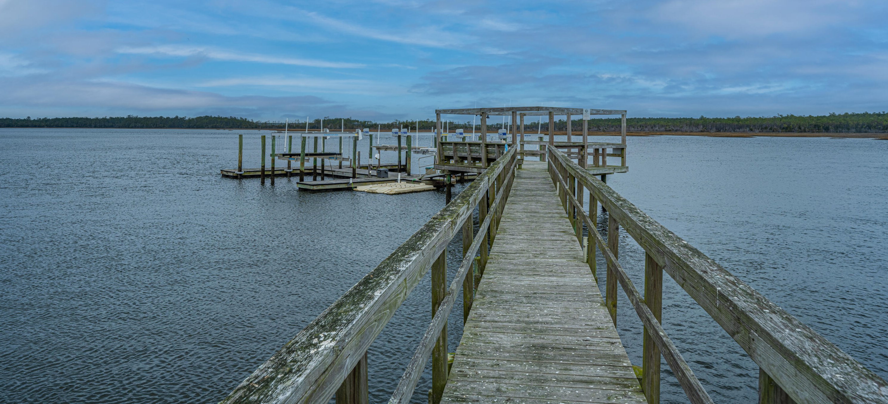 3893 Ashton Shore Ln, Mount Pleasant, SC 29466-8215
