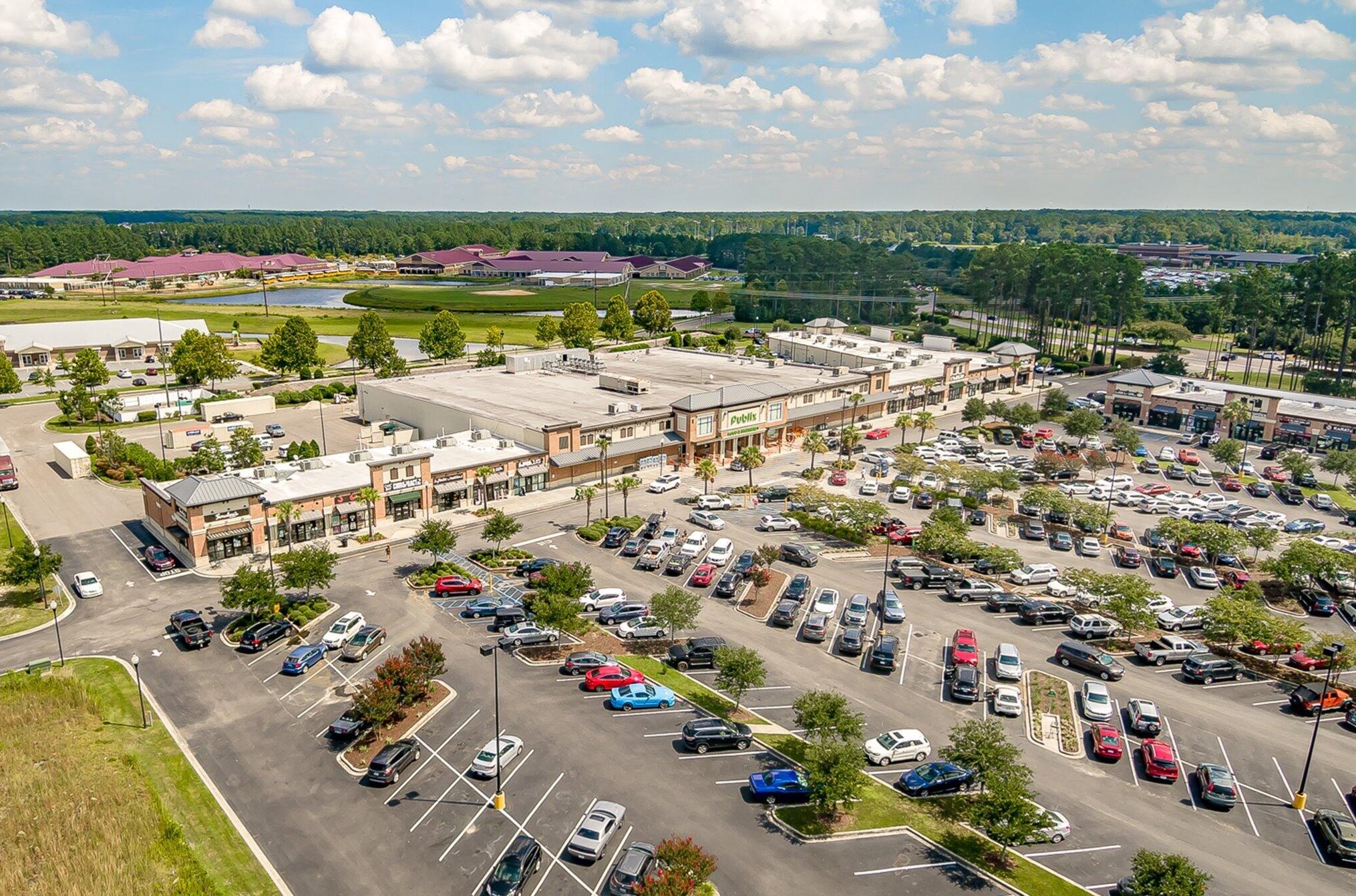 335 Peters Creek Dr, Summerville SC  29483-5341 exterior