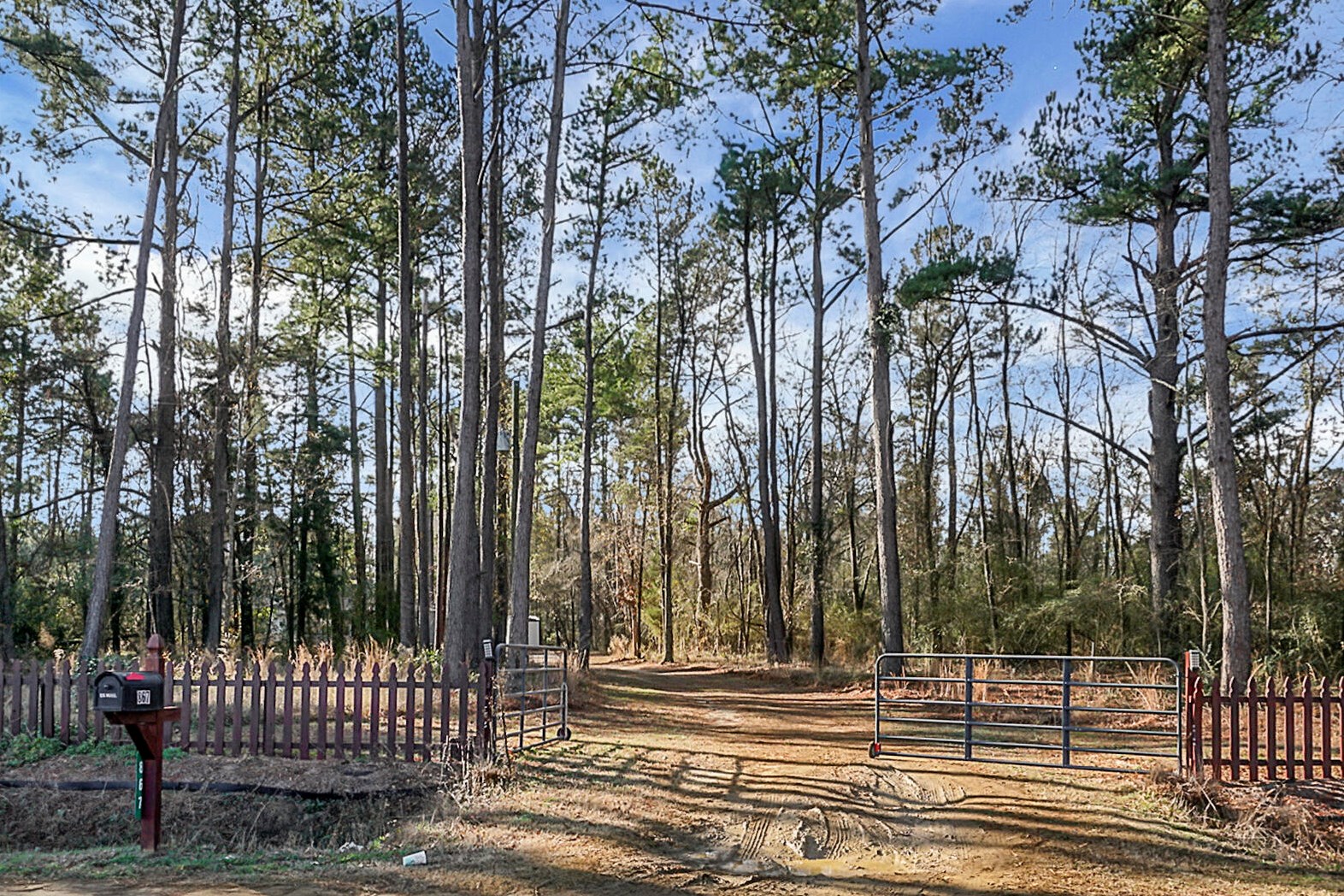867 Fauling Rd, Alvin, SC 29479