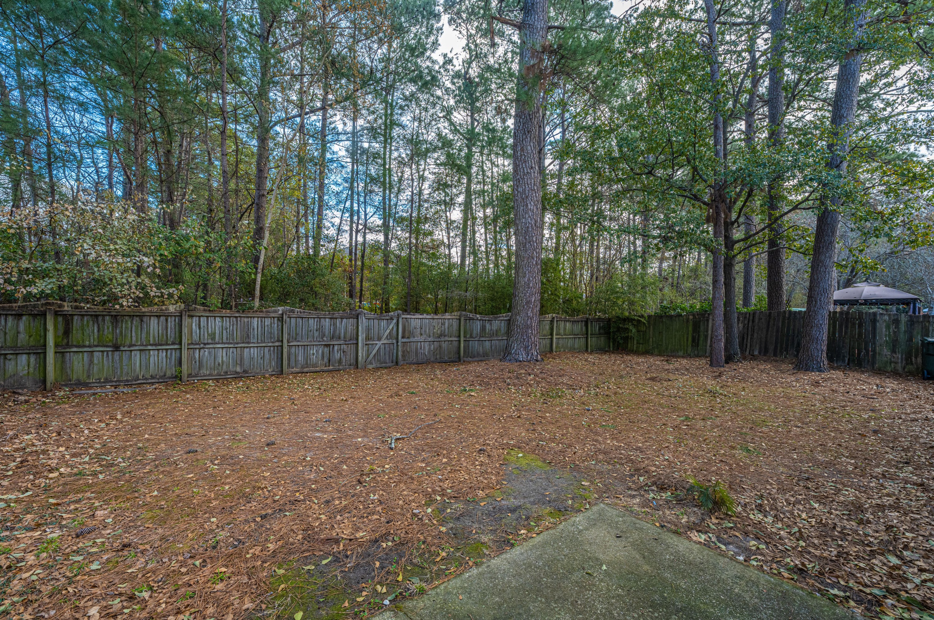 103 York Pl, Charleston SC  29445-5440 exterior