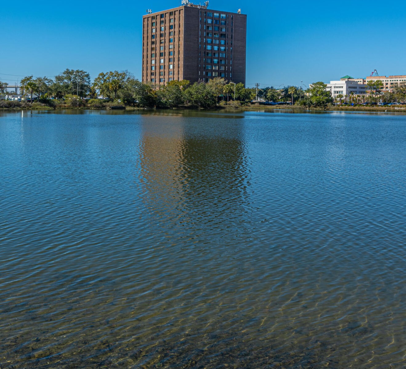 14 Lockwood Dr, Charleston SC 29401-1126 exterior