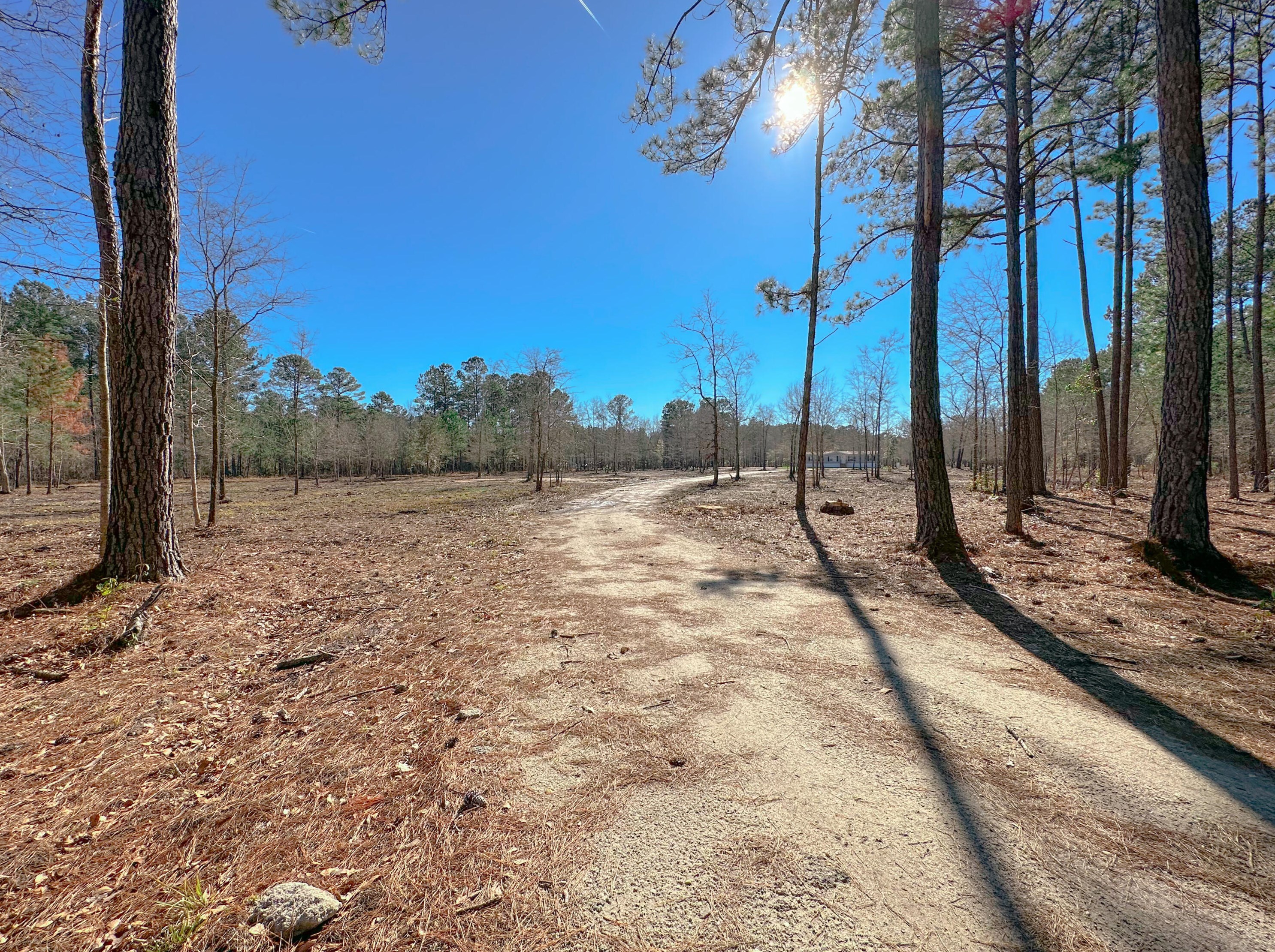160 Wisteria Falls Trl, Alvin, SC 29479-4019