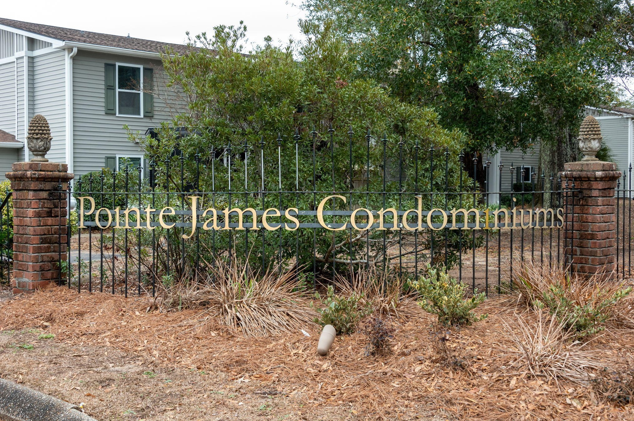 1402 Camp Rd, Charleston SC  29412-3732 exterior