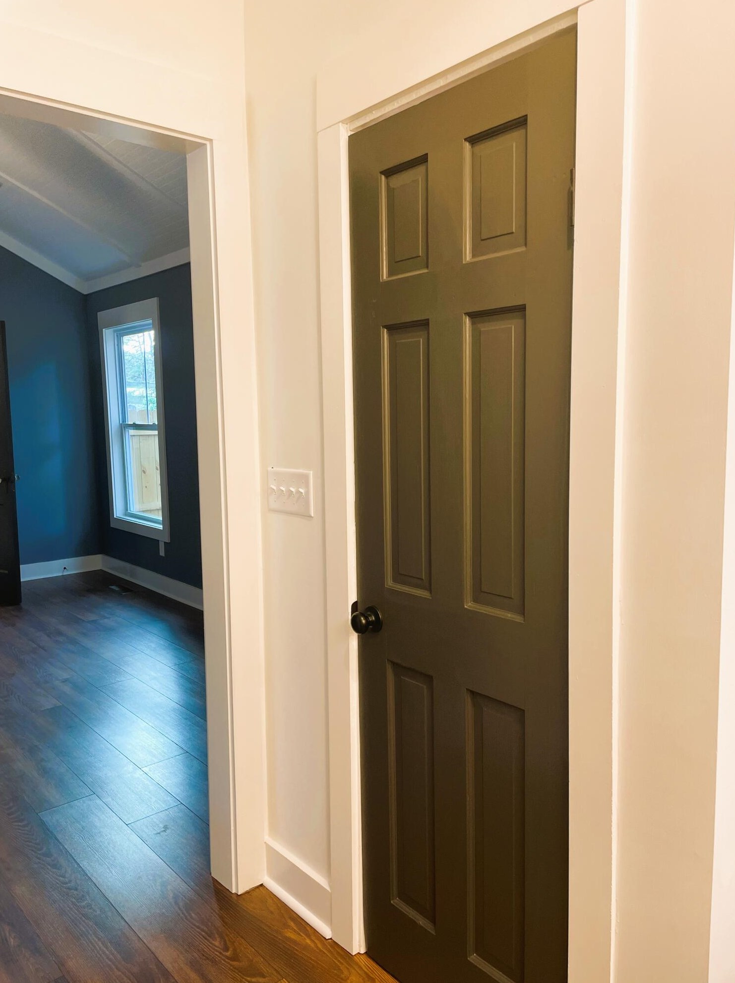 223 Hayden St, Walterboro SC  29488-4224 exterior