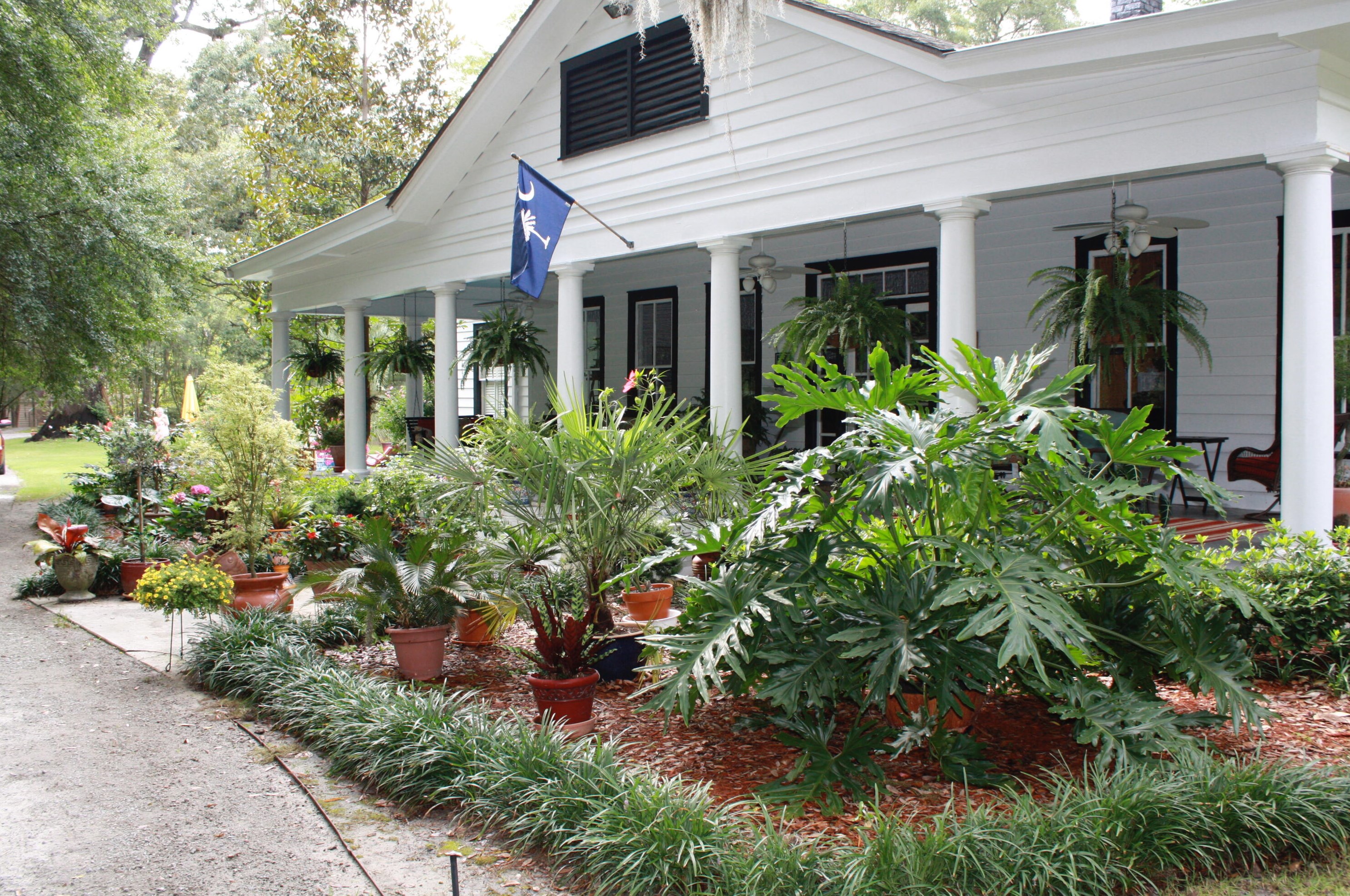 203 Witsell St, Walterboro SC  29488-3050 exterior