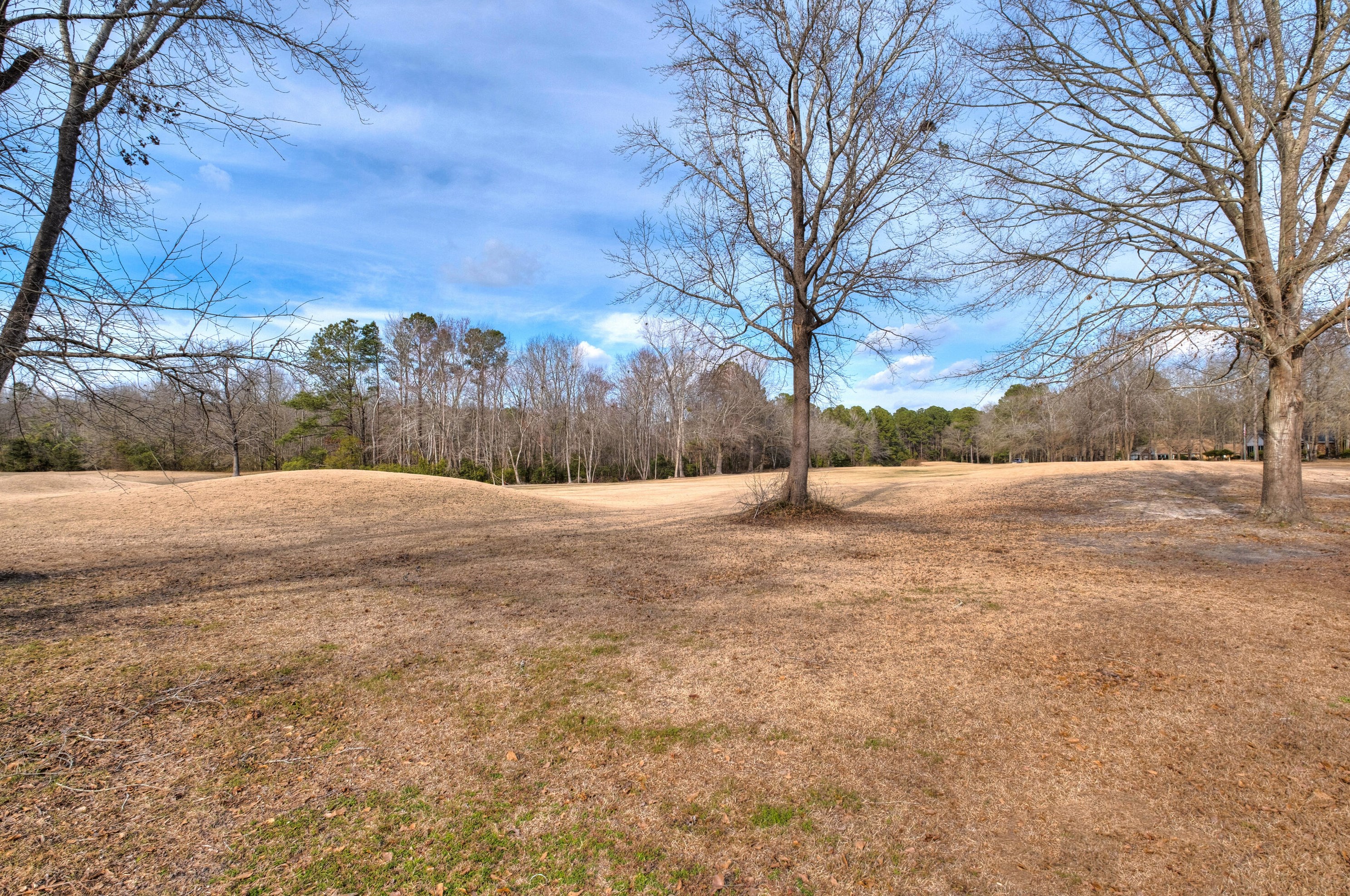 126 Ridge Lake Dr, Foreston, SC 29102