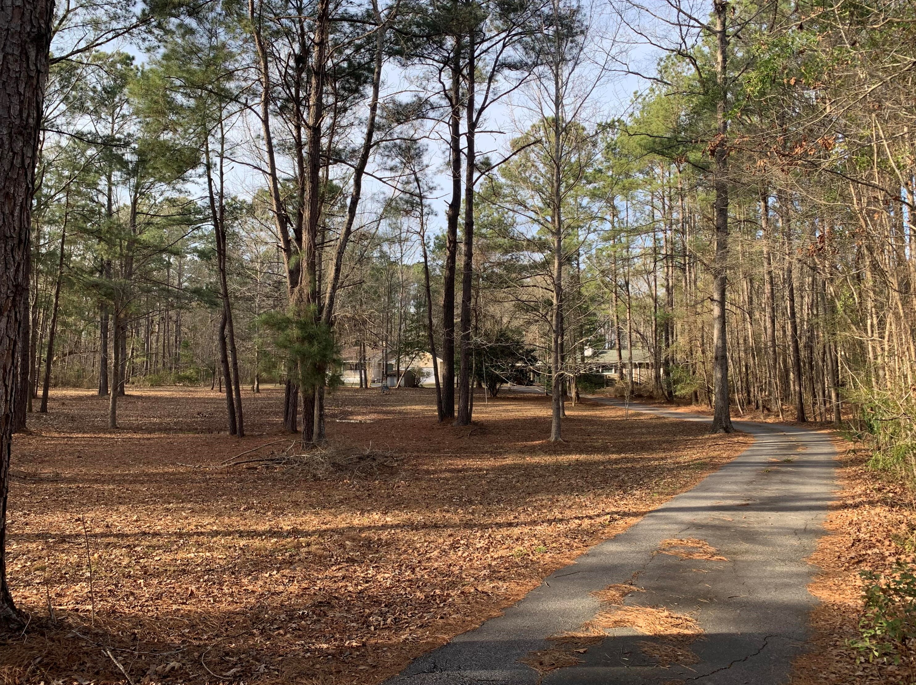 302 & 298 Summerset Ln, Summerville, SC 29483