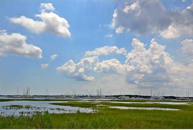 207 Wentworth St, Charleston SC  29401-1209 exterior