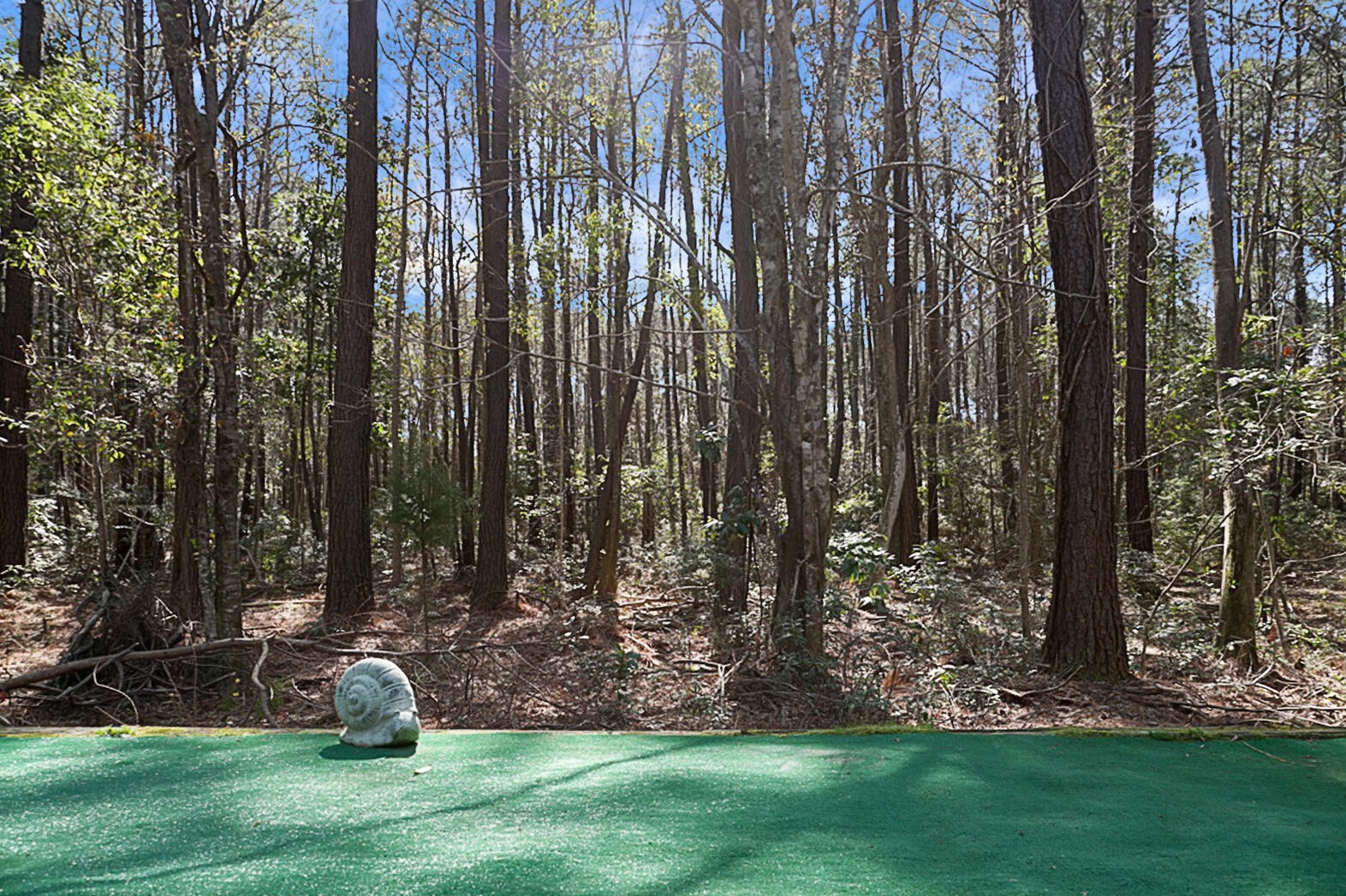 1139 Island Club Dr, Charleston SC  29492-8110 exterior
