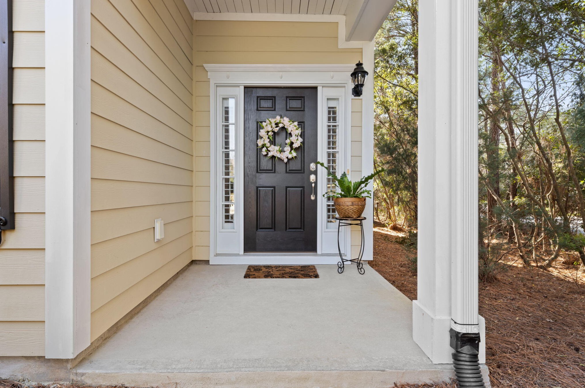 2040 Promenade Ct, Mount Pleasant, SC 29466