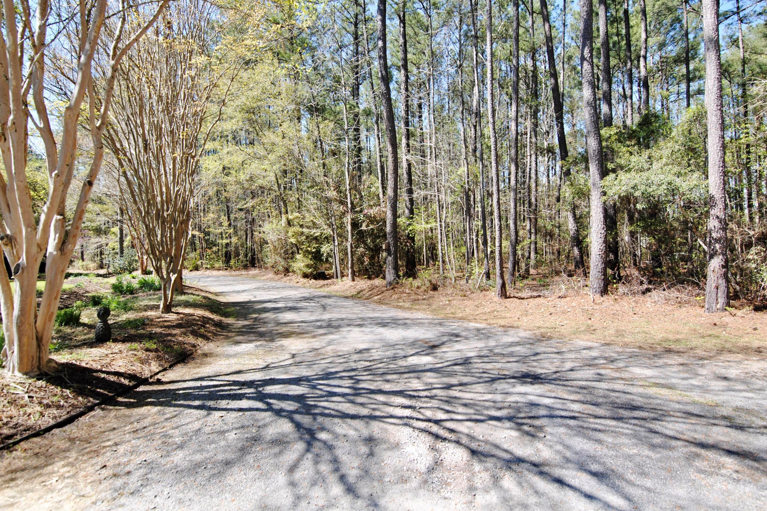 141 Old Savannah Ct, Moncks Corner, SC 29461-4875