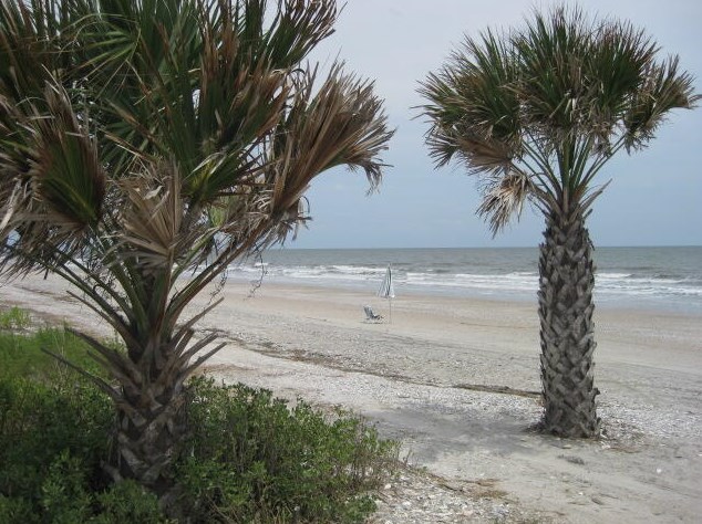 59 Lost Village Trail, Edisto, SC 29438