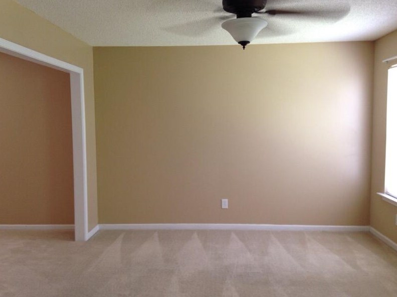 336 Wild Olive Dr, Columbia, SC 29229