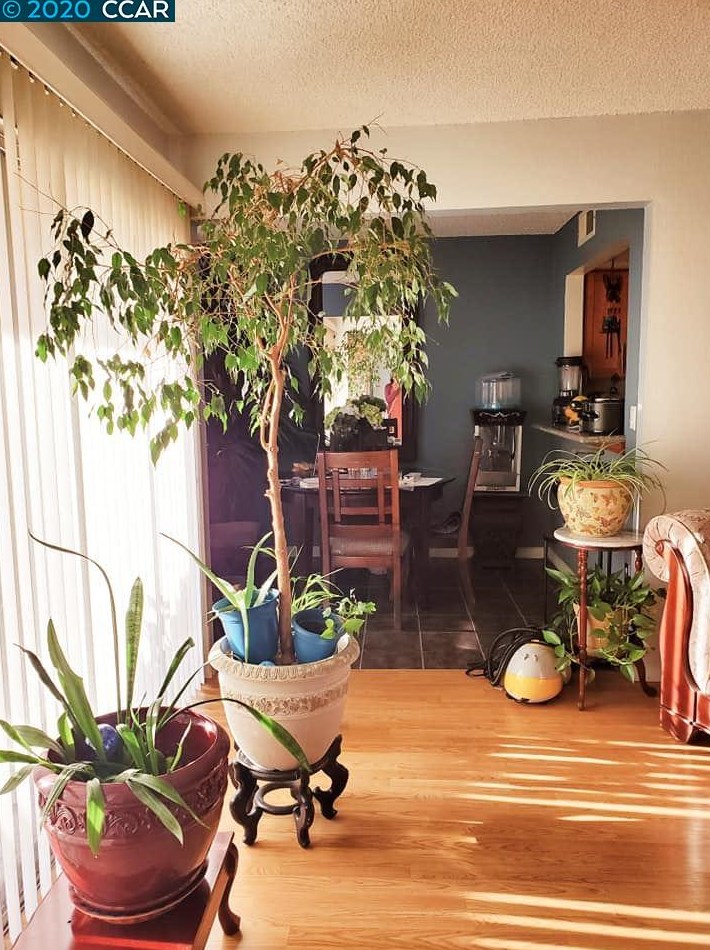 15 Las Moradas Cir, Richmond, CA 94806-3838