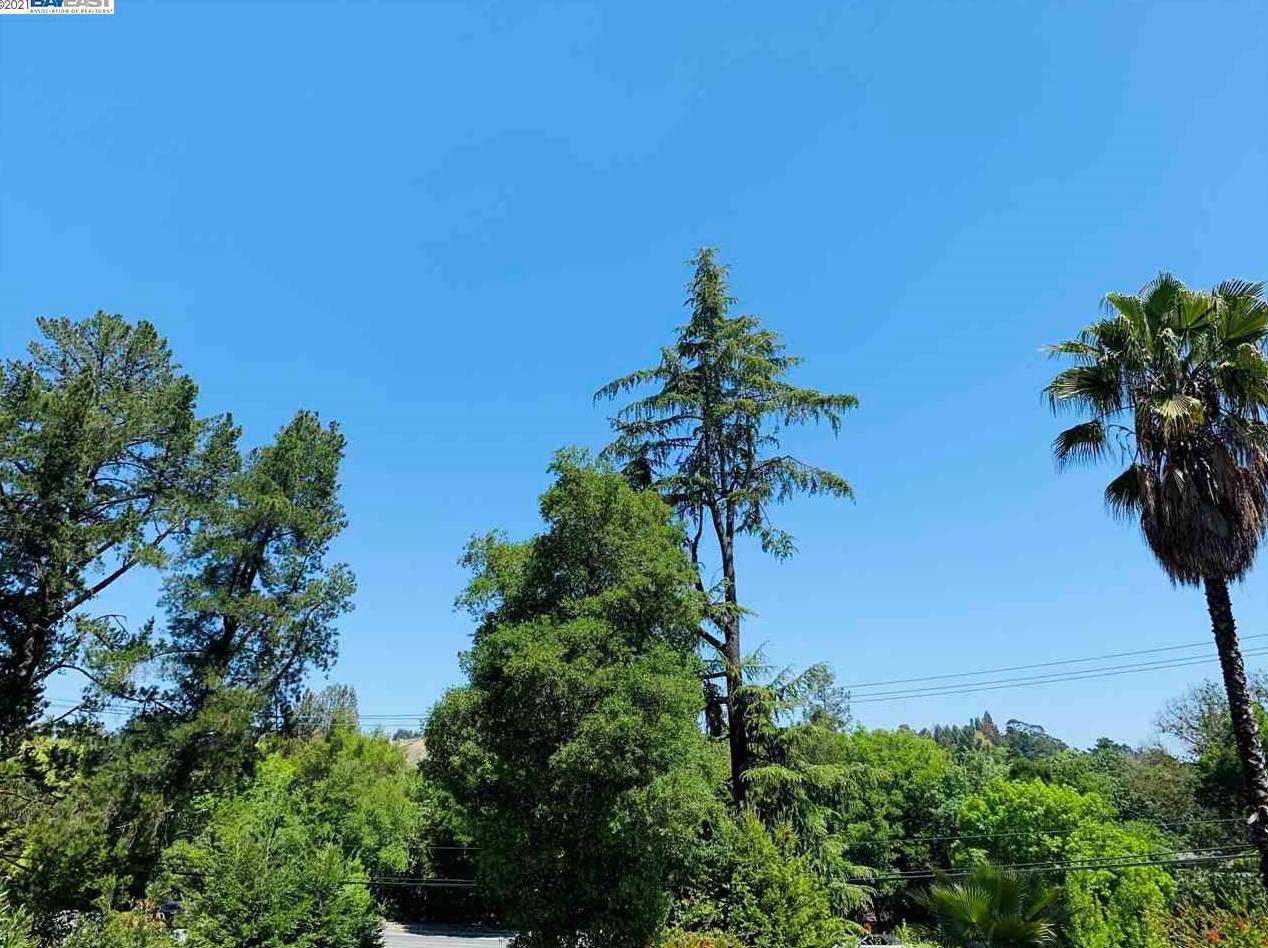 3211 Ameno Dr, Lafayette, CA 94549