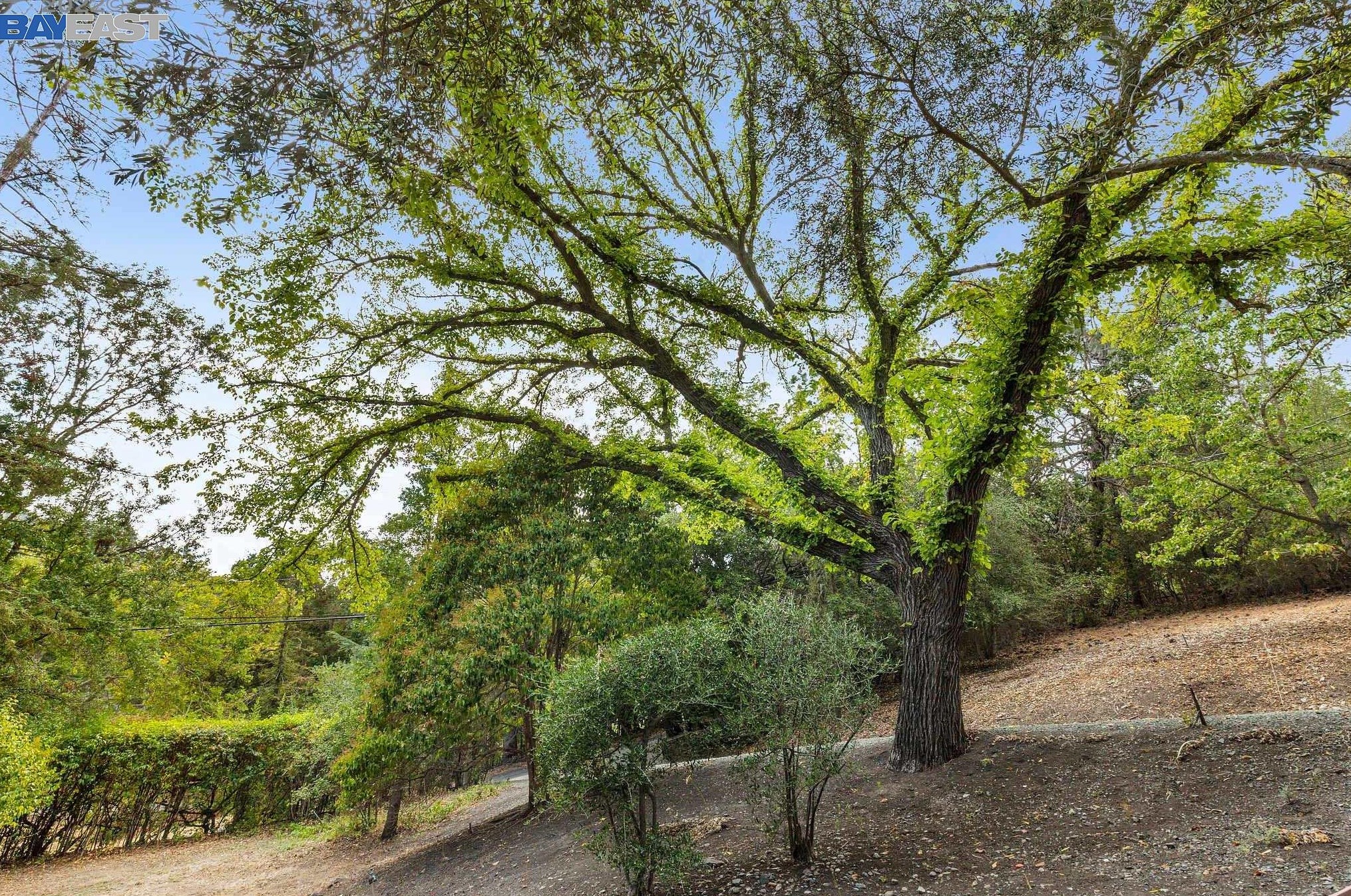 1845 Reliez Valley Rd, Lafayette, CA 94549-1937