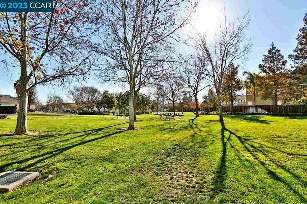 981 Chamomile Ln, Los Angeles CA  94513-6166 exterior