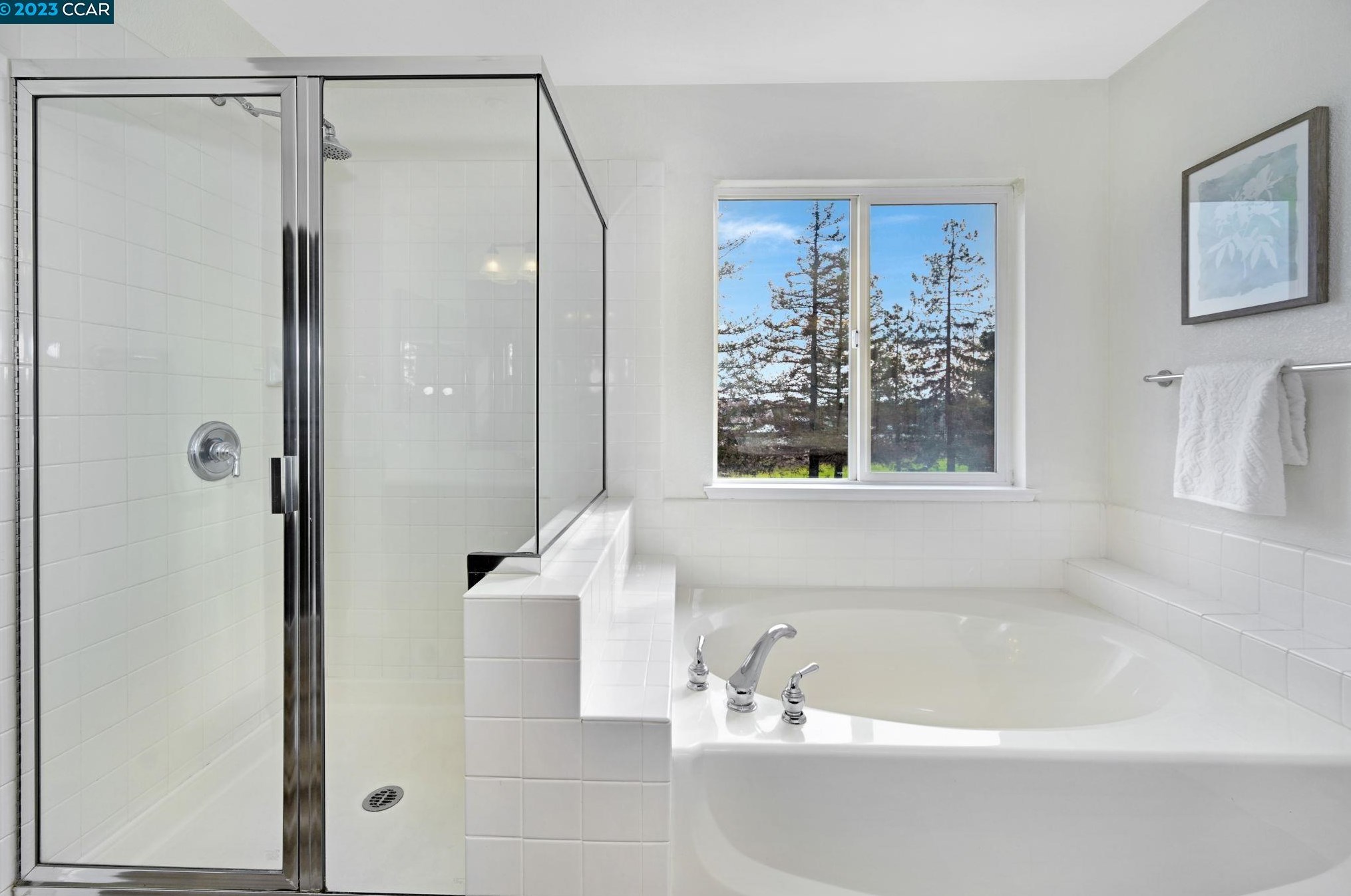 981 Chamomile Ln, Los Angeles CA  94513-6166 exterior