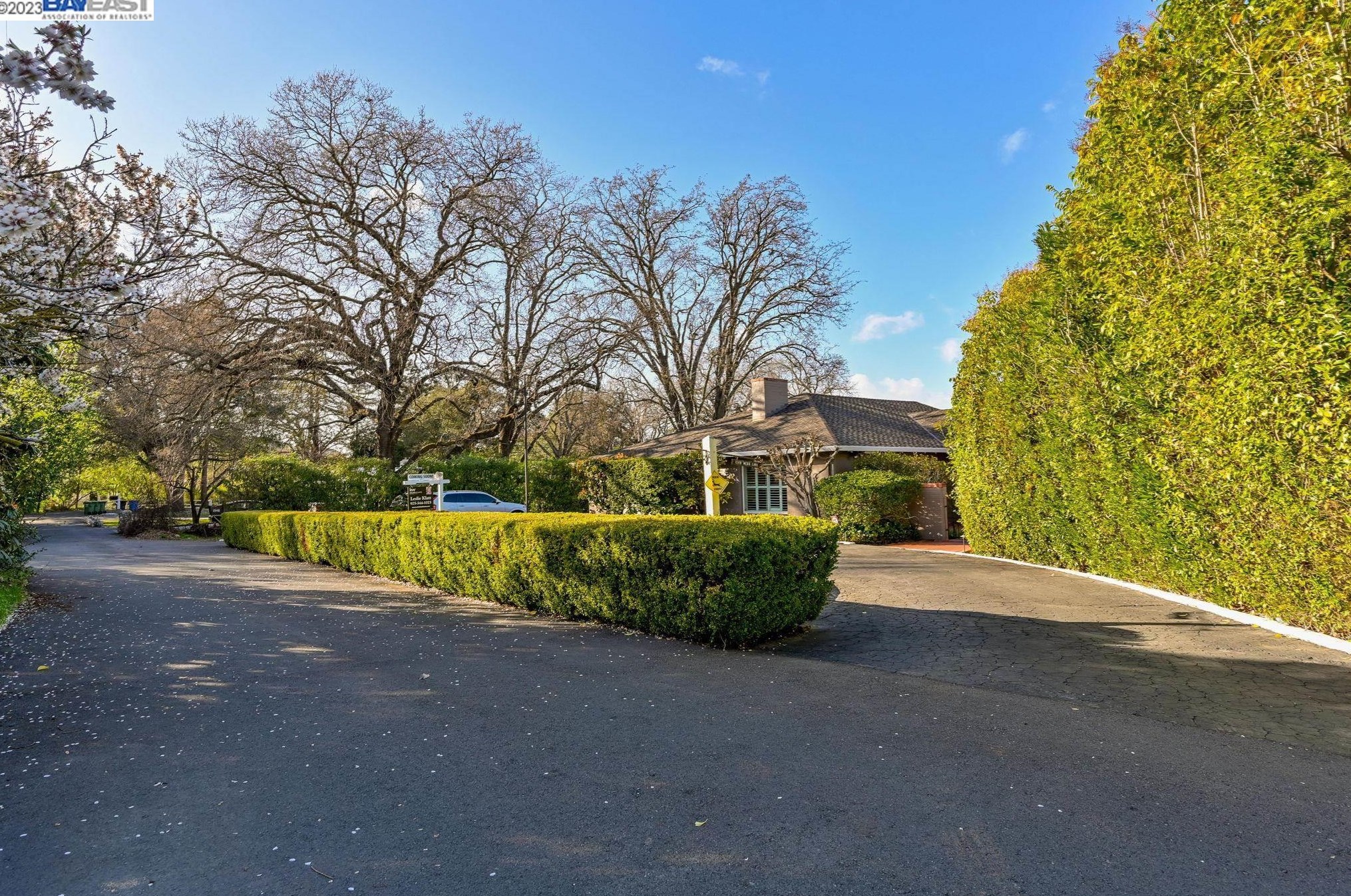 1548 Webb Ln, Walnut Creek, CA 94595-2332