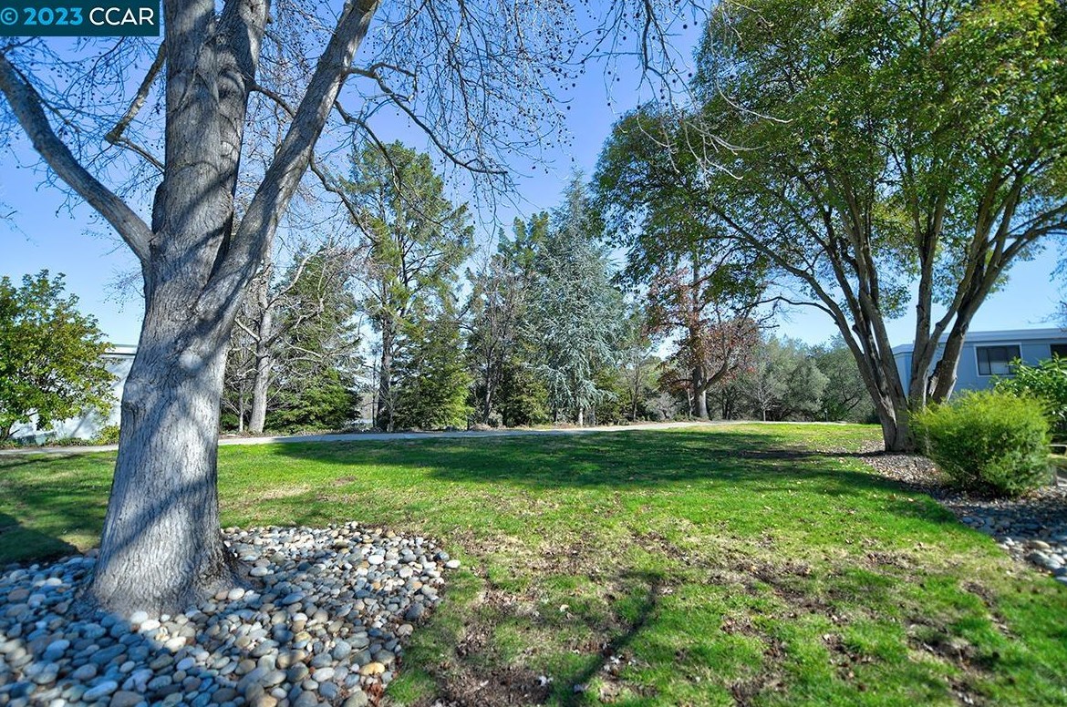1364 Rockledge Ln, Walnut Creek, CA 94595-2802