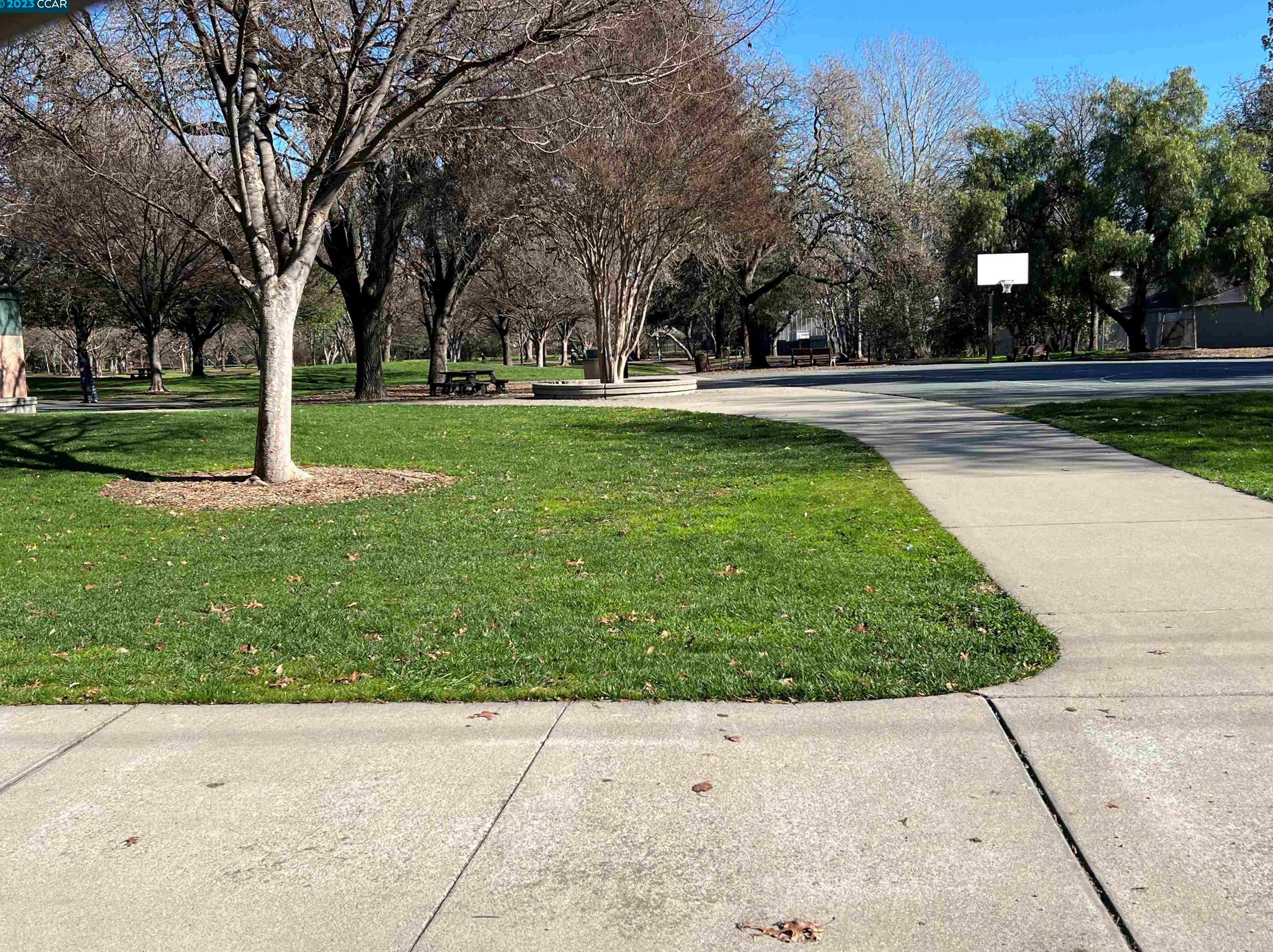 2582 Oak Rd, Walnut Creek CA 94597-7817 exterior