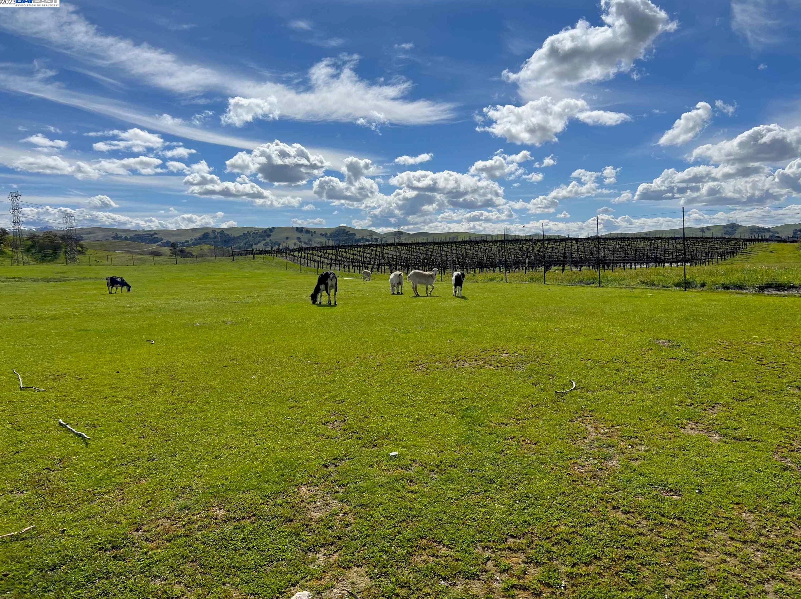 3150 Hansen Rd, Livermore, CA 94550