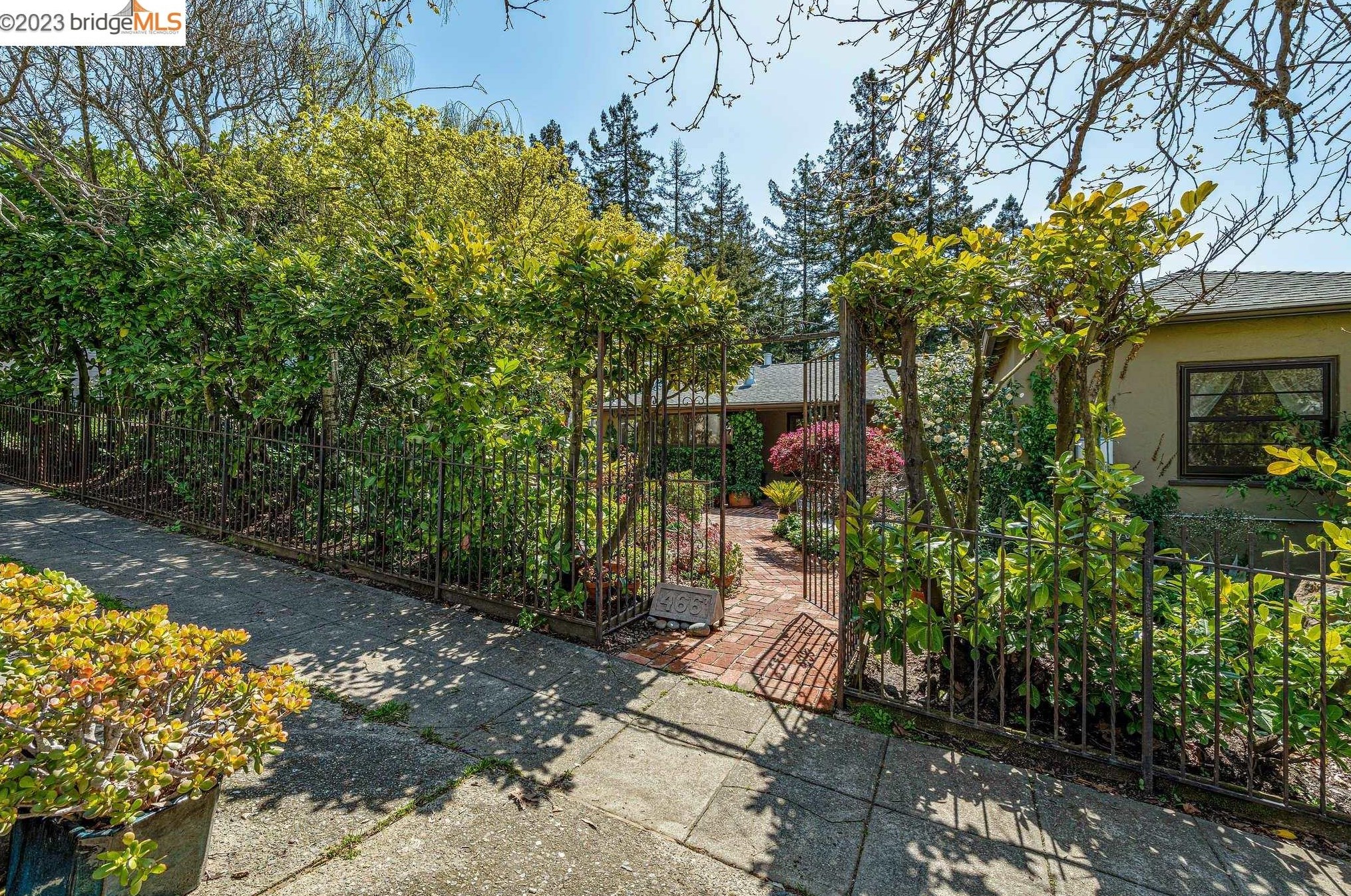 466 Beloit Ave, Berkeley, CA 94708-1114