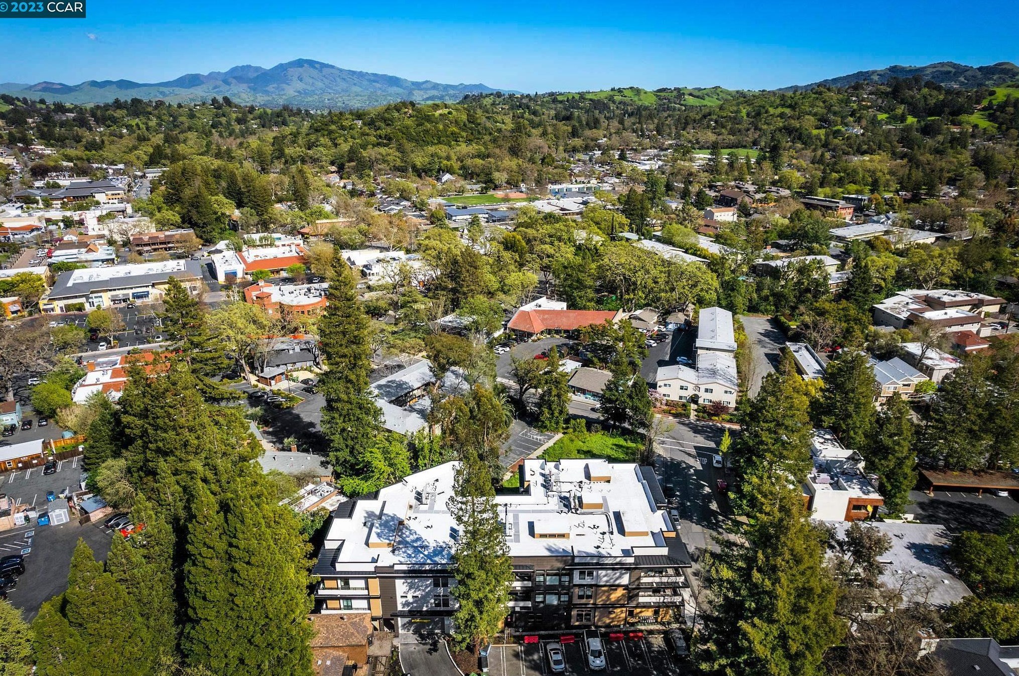 210 Lafayette Cir #204, Lafayette, CA 94549