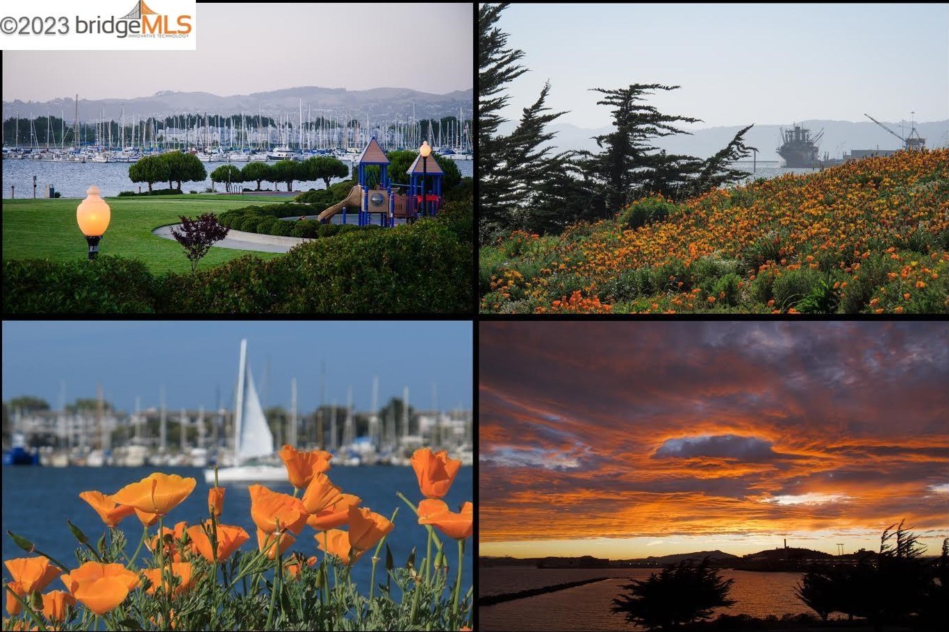 245 Shoreline Ct, Richmond CA  94804-7435 exterior