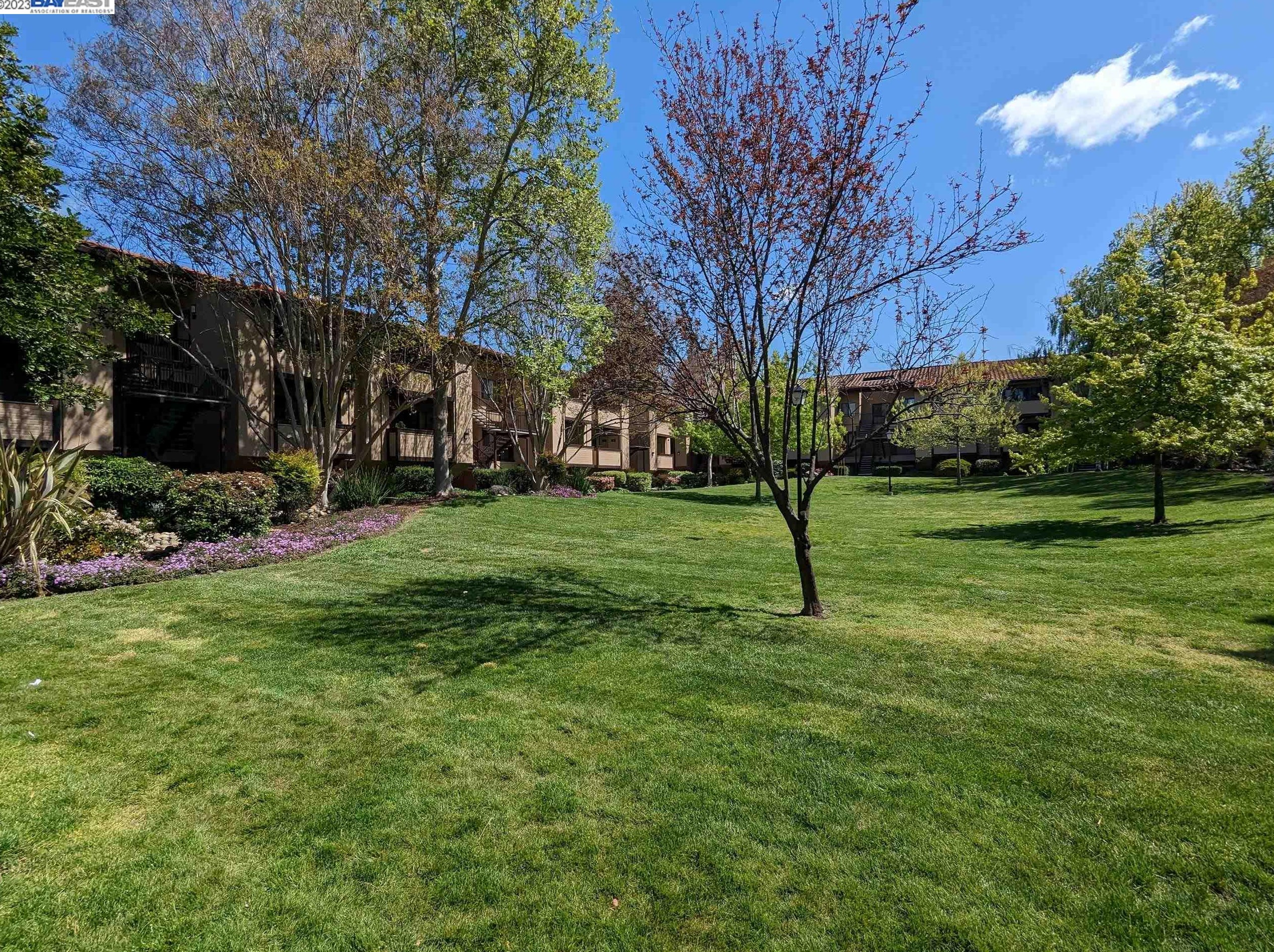 46876 Shale Common #142, Fremont, CA 94539