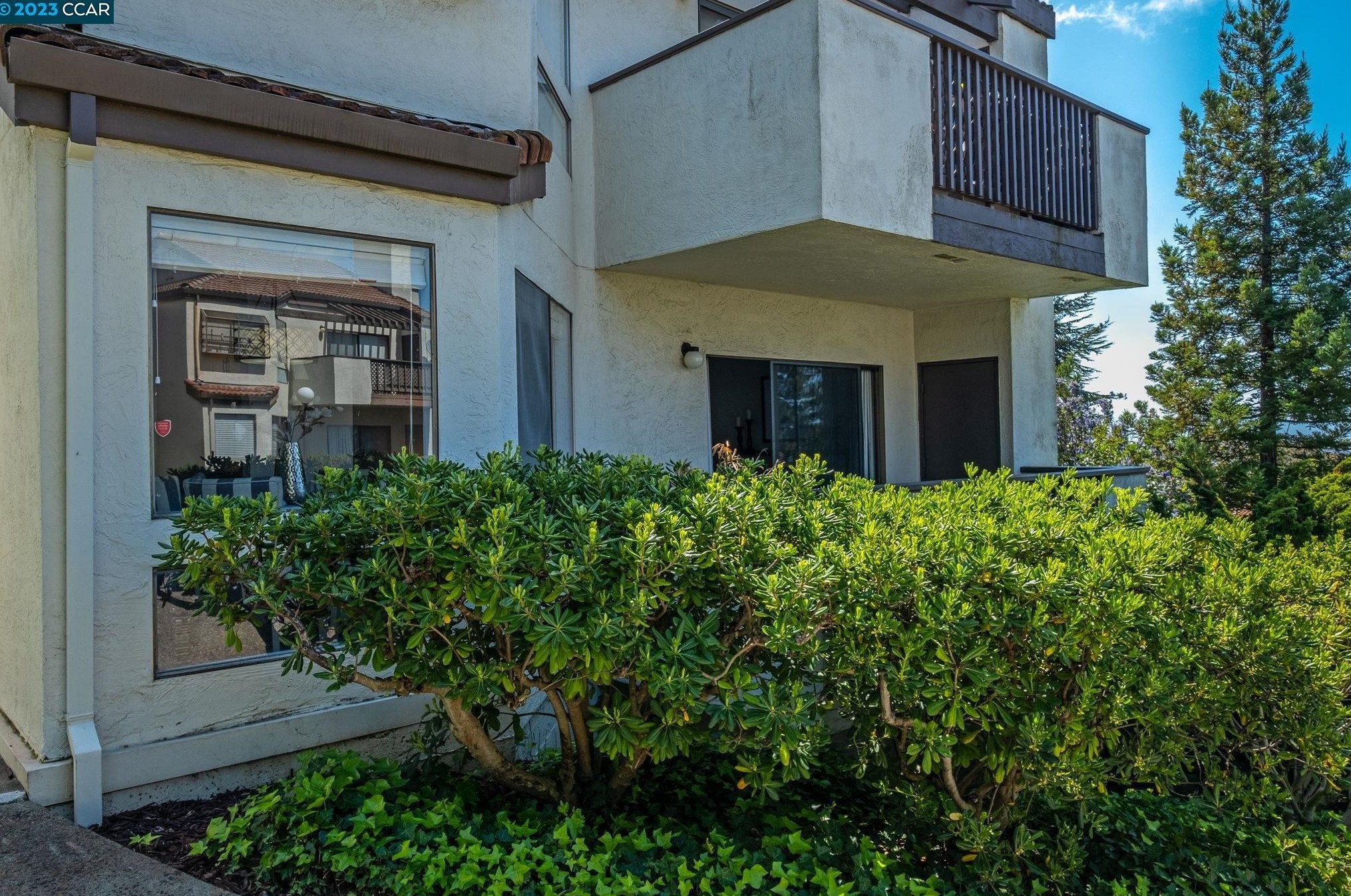 21095 Gary Dr #113, Hayward, CA 94546