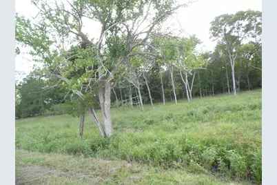 Fm 457 457 Sargent Hwy, Cedar Lane, TX 77415 - Photo 1