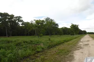 Fm 457 457 Sargent Hwy, Cedar Lane, TX 77415 - Photo 1