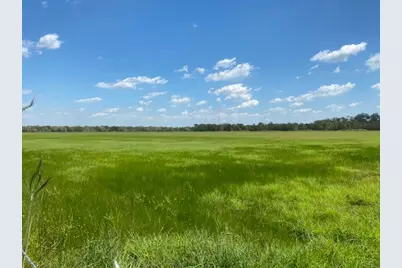 573 Cr 154, Cedar Lane, TX 77414 - Photo 2