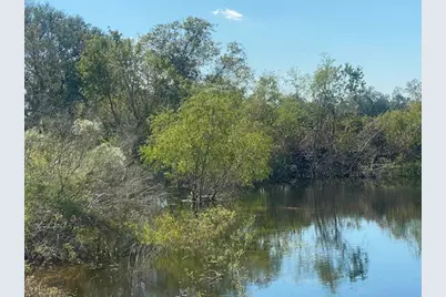 573 Cr 154, Cedar Lane, TX 77414 - Photo 10