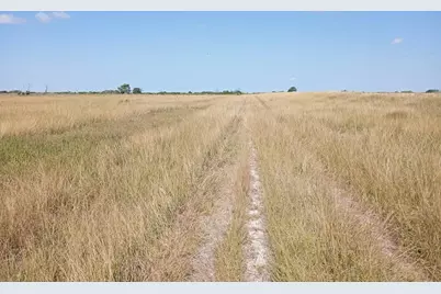 0 Cr 394 Graff, Blessing, TX 77419 - Photo 1