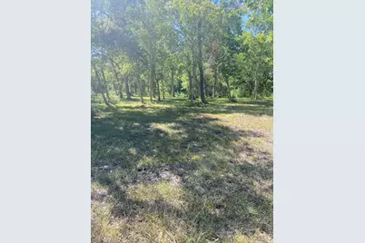 2241 Fm 1459, Sweeny, TX 77480 - Photo 10