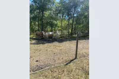 2241 Fm 1459, Sweeny, TX 77480 - Photo 8