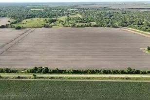 Reduced 0 Harter Road ( Cr 343 ), Blessing, TX 77419 - Photo 1